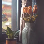 Hauptman Apartment *